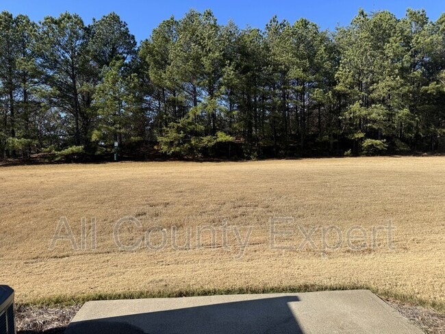 Building Photo - 383 Weatherstone Pl