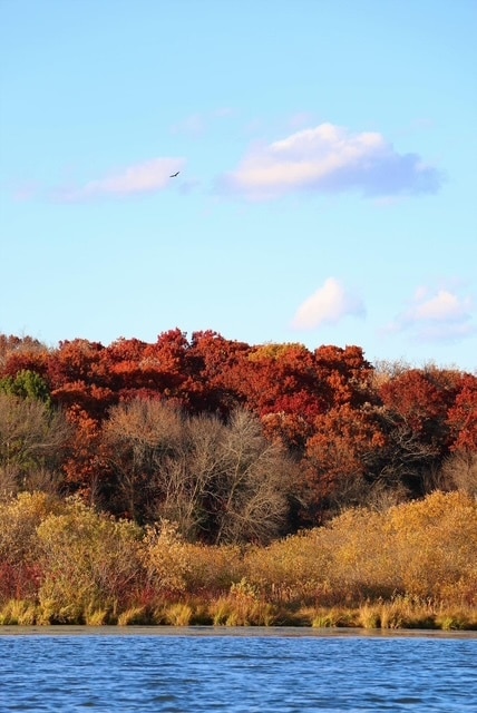 Building Photo - 5190 114th Ave