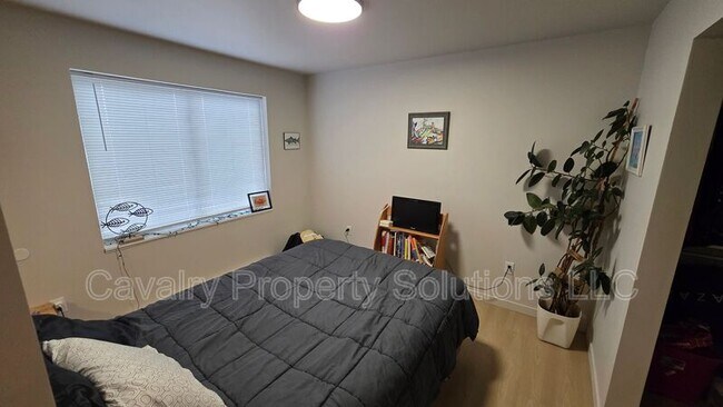 Building Photo - 1221 Commonwealth Ave