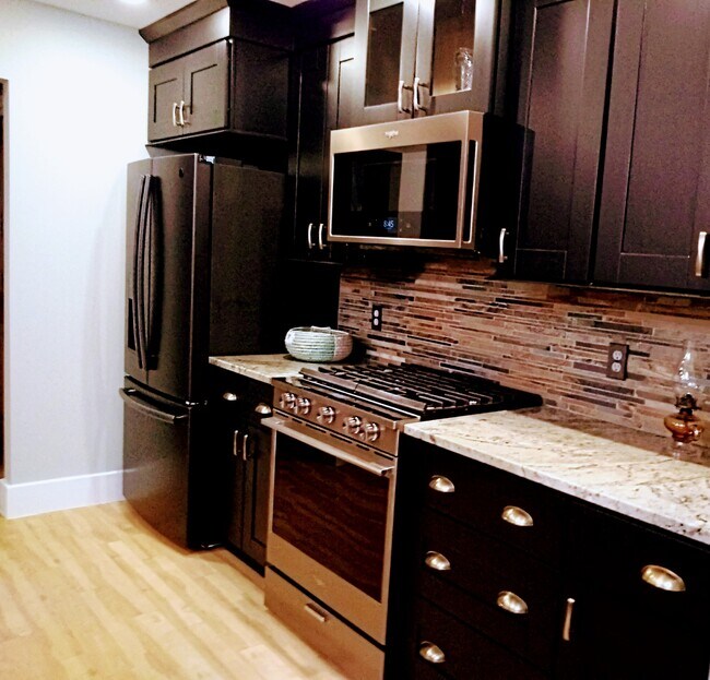 Gourmet appliances - 21253 Lake George Blvd