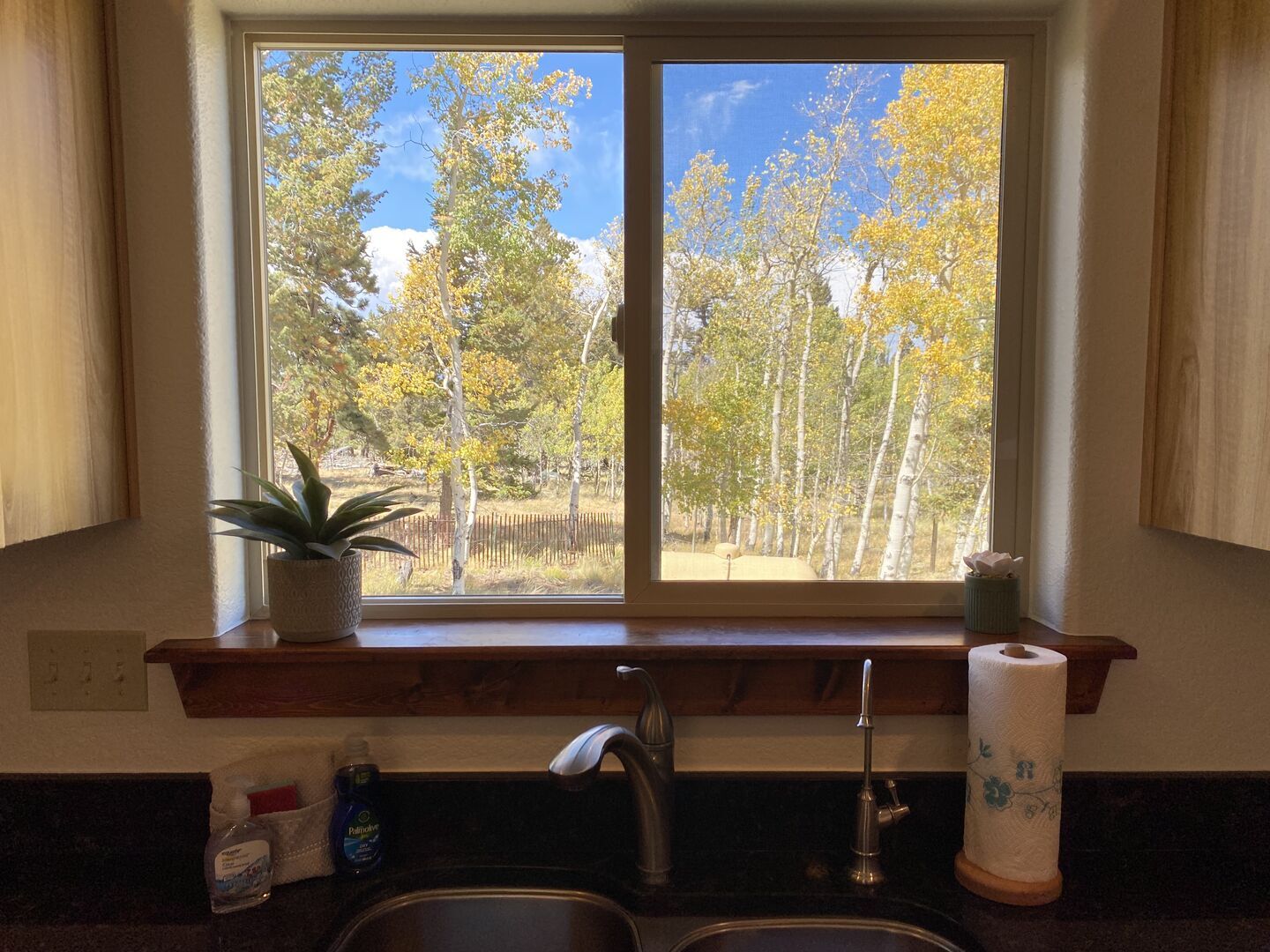 kitchen - 850 Blacksmith Rd
