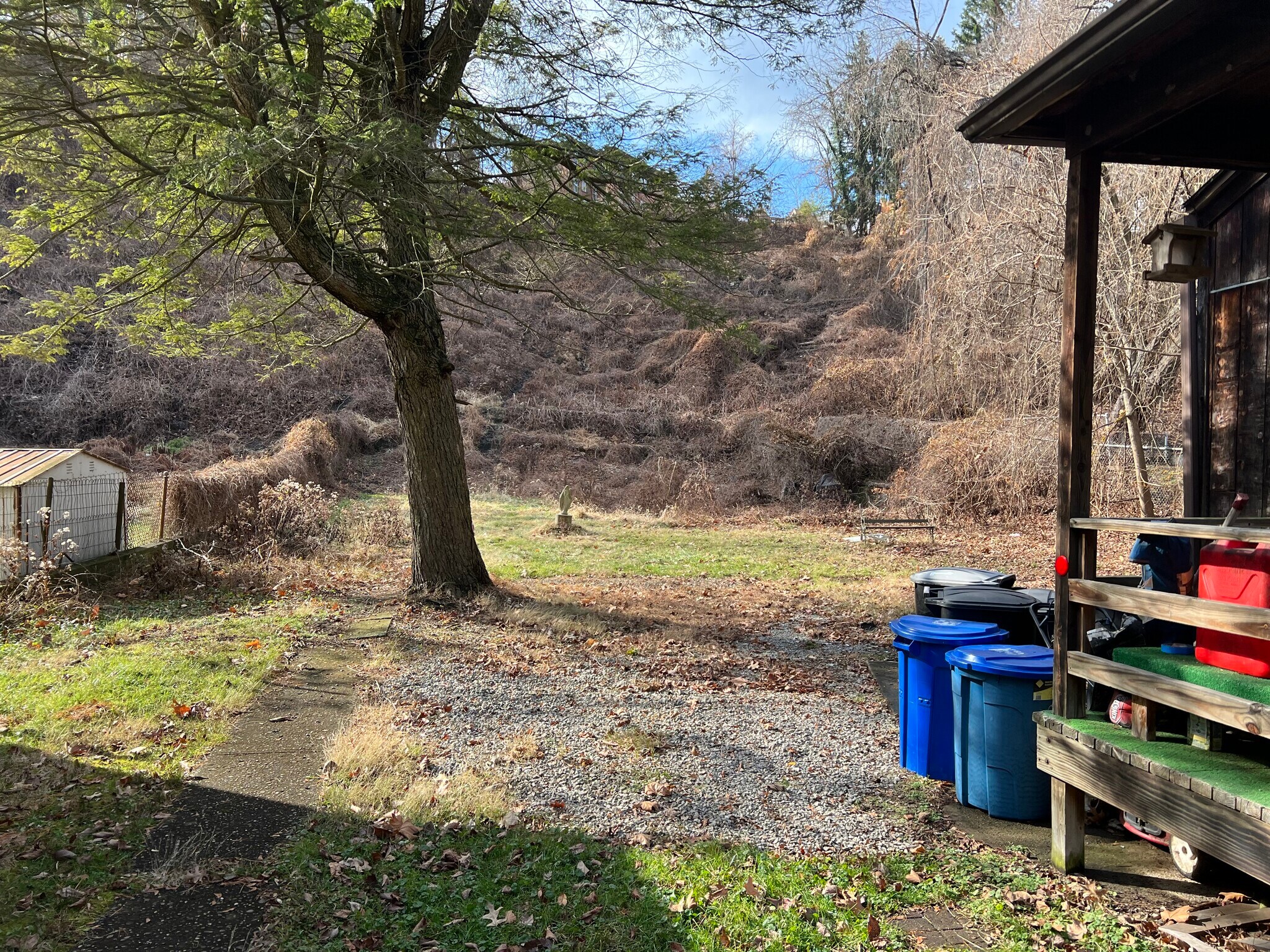 Building Photo - 47 Boundary St