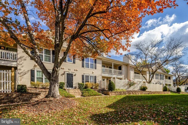 Building Photo - 10205 Ashbrooke Ct