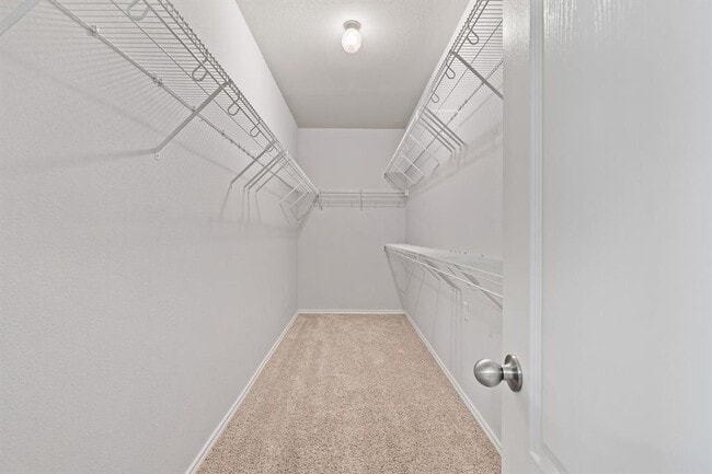 Building Photo - 3721 Pine Needle Cir