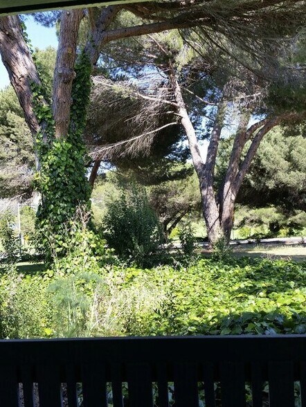 Building Photo - 1459 N Camino Alto