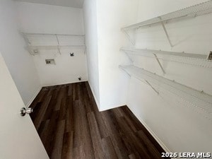 Building Photo - 203 Mallow Grove