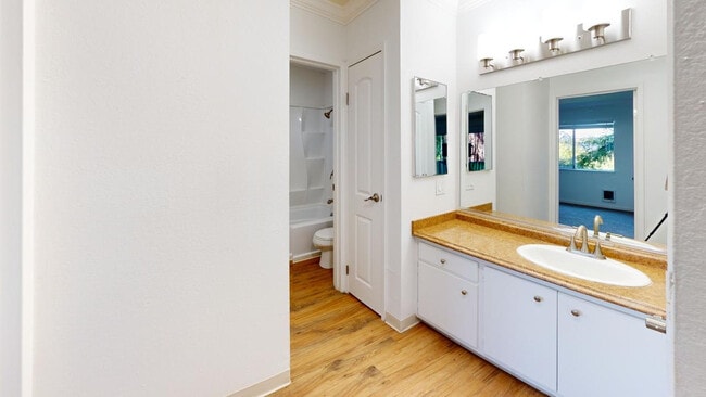 Building Photo - 475 Ignacio Blvd