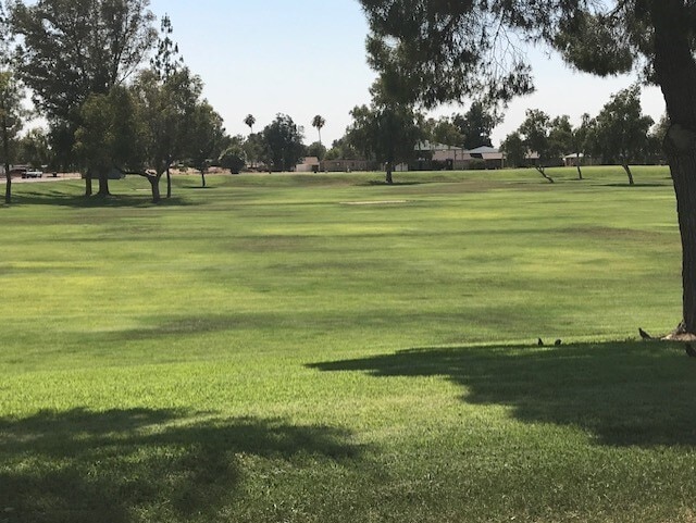 Building Photo - Tempe 3 Bed, 2 Bath - Pool and Single Story
