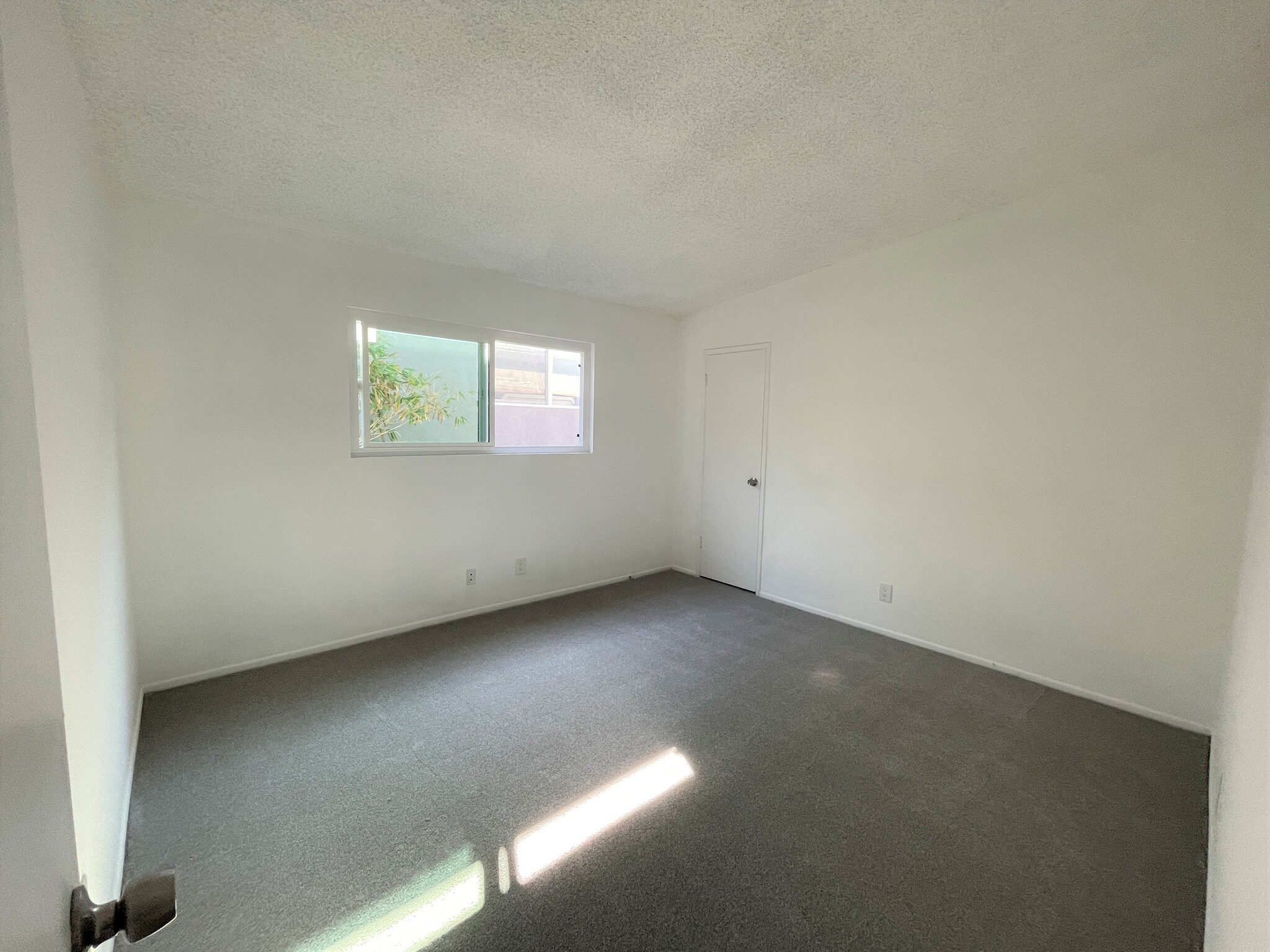 Bedroom 2 w/ walk-in closet - 419 Longfellow Ave