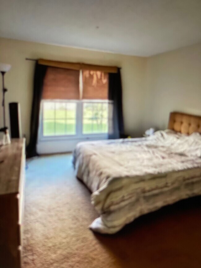 Master bedroom - 6 Chamberlin Ct