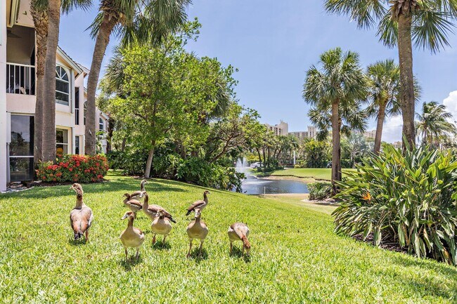 Building Photo - 4409 Fairway Dr N