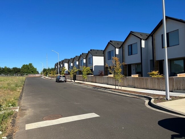 Building Photo - Beautiful, Newer Townhome!  Walking distance to many amenities.