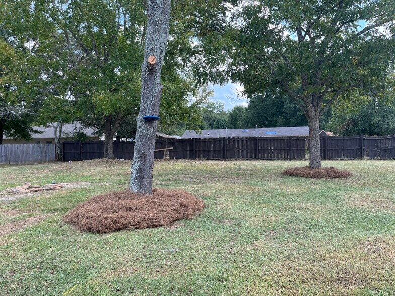 Backyard - 116 Bradley Cir