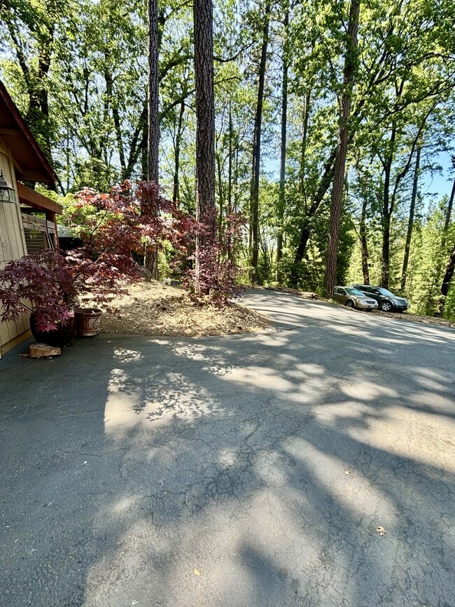 Building Photo - 12396 Mystic Mine Ct