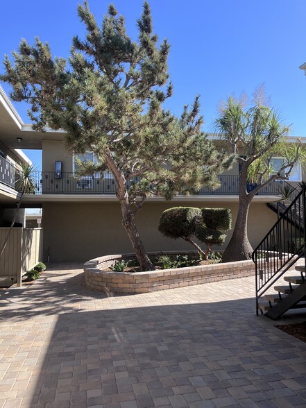 Primary Photo - Montclair Apartments