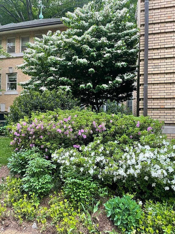 Building Photo - 65 Glen Rd