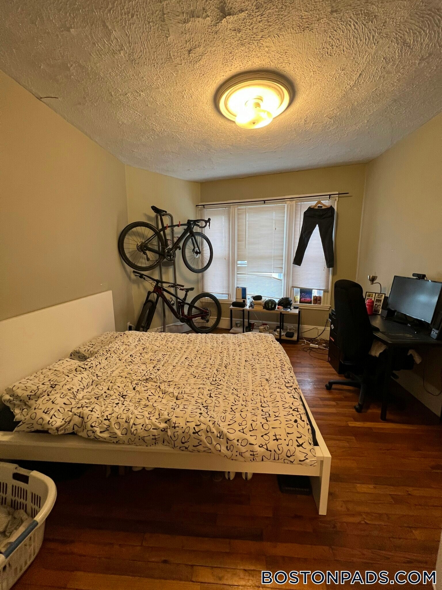 Building Photo - 59 Cedar St