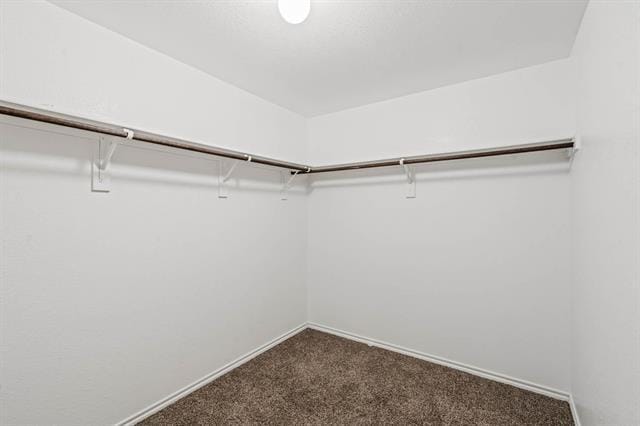 Building Photo - 2120 Tulipwood Dr