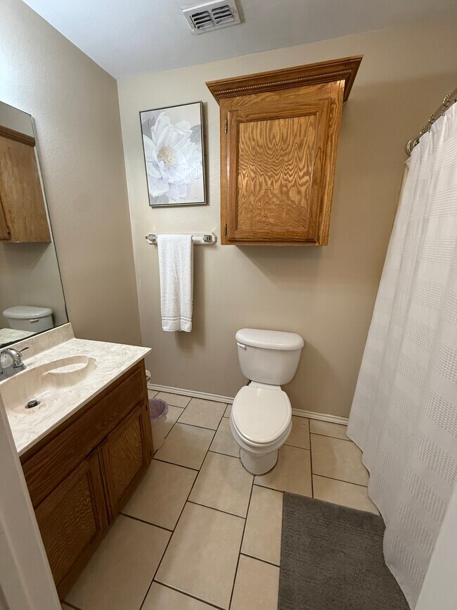 Unit D: Master Bathroom - 302 W Amy Dr