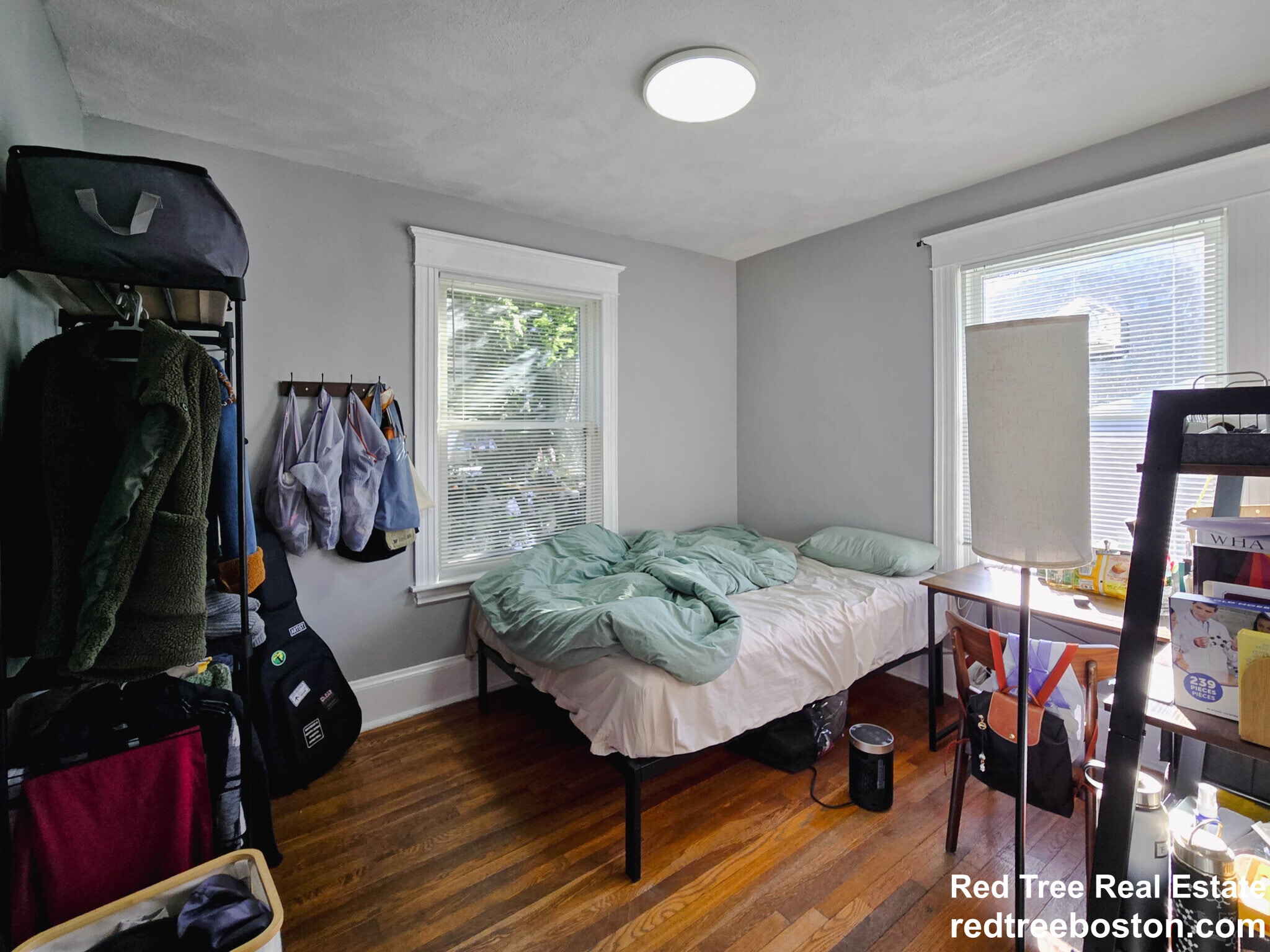 Building Photo - 229 Chestnut Hill Ave