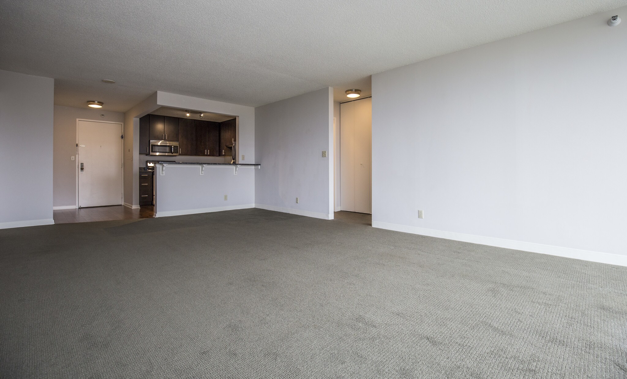 LR/DR Open Concept - 1660 N Prospect Ave