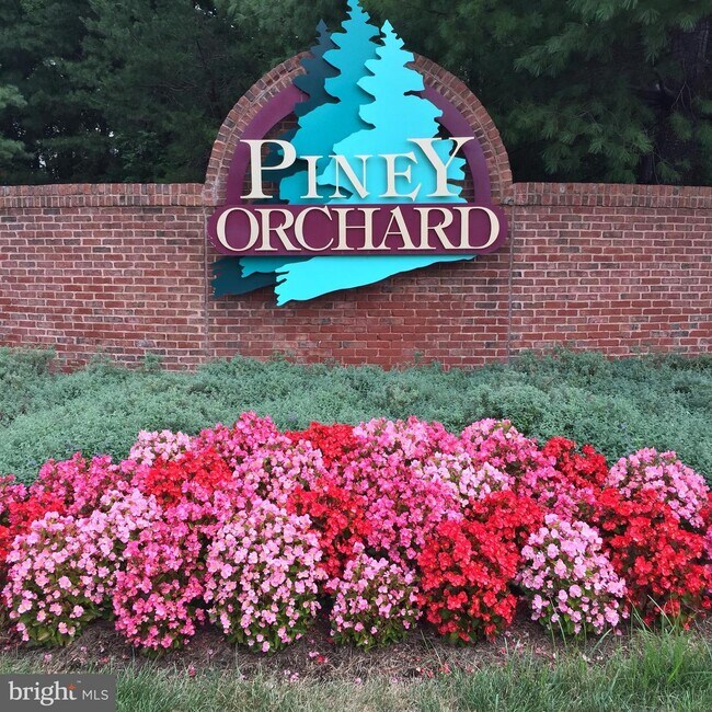 Building Photo - 8709 Spring Brook Way