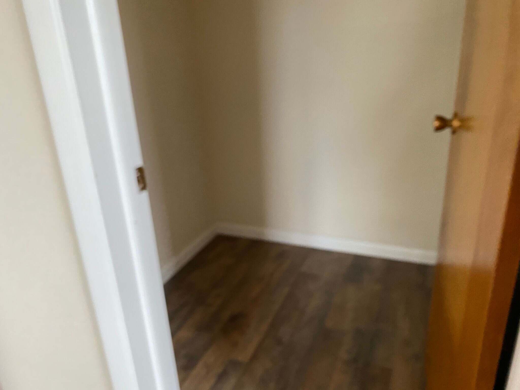 Large closet - 411 Poplar Ave