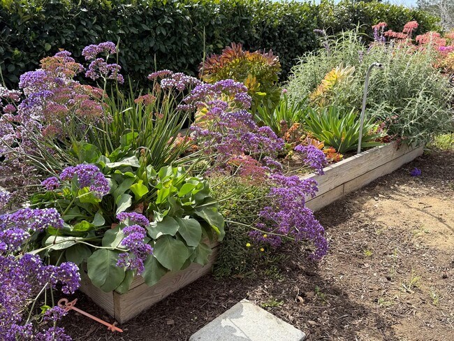 Building Photo - Beautifully Updated 3 Bed, 2 Bath Home in West Vista