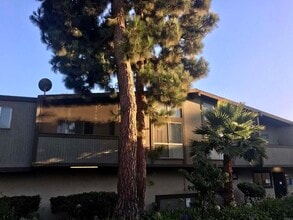 Building Photo - 808 Coriander Dr