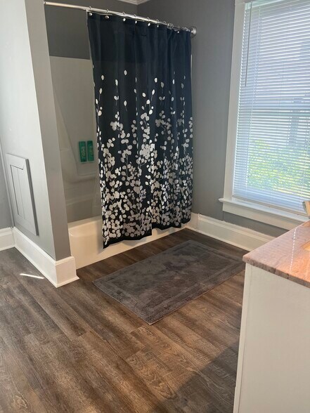 Bathroom - 747 Ann St