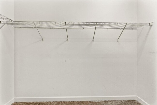 Building Photo - 2271 Cerulean Sky Dr