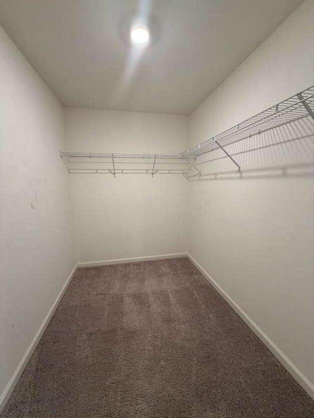 Building Photo - 35300 Condor Ct