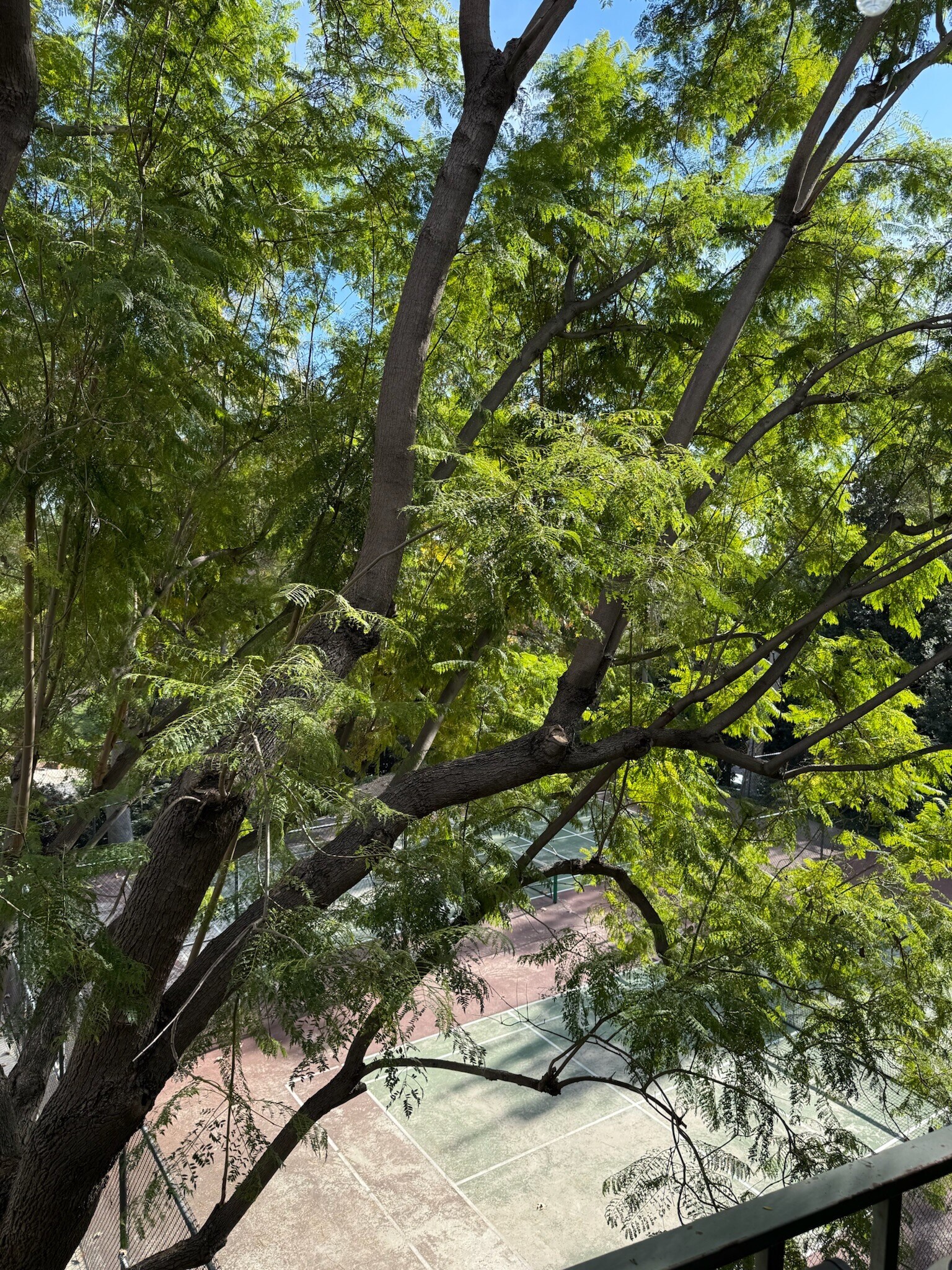 Building Photo - 4141 Via Marisol