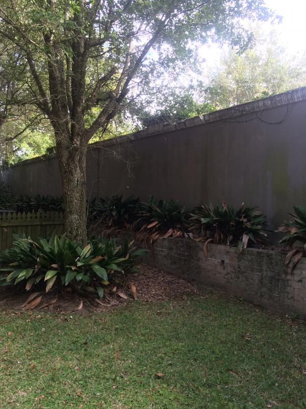 Building Photo - 200 Rochester Pl