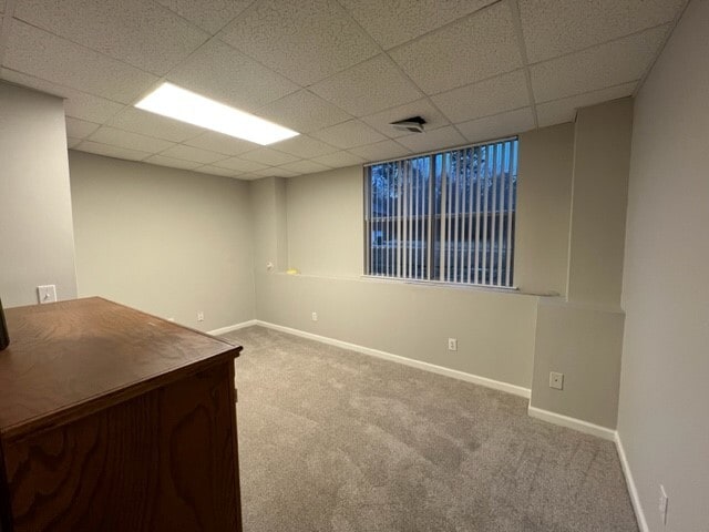 Downstairs BR/Office - 205 Camellia Dr