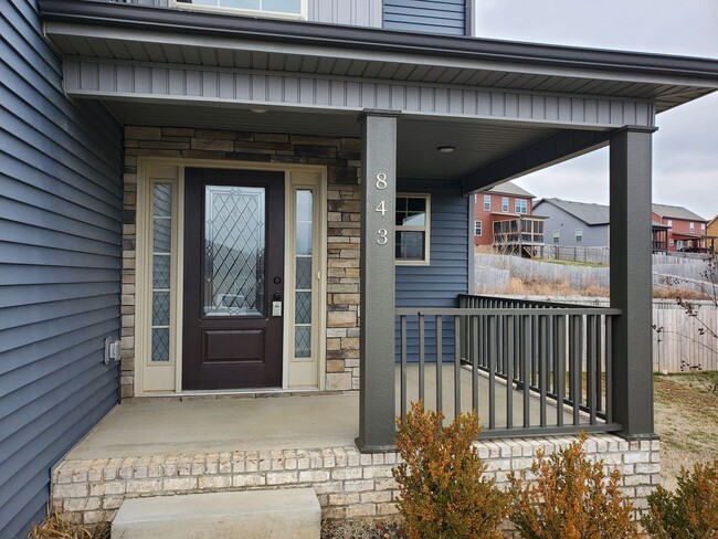 Building Photo - 843 Crestone Ln