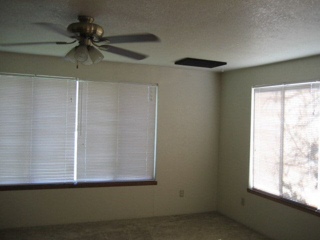 Building Photo - ~Centrally Located 3 Bedroom Home~