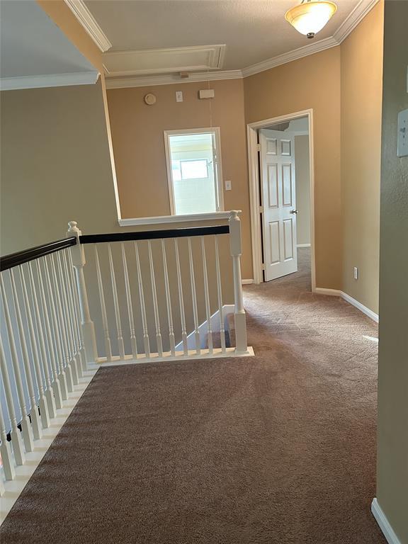 Building Photo - 23806 Allingham Ln
