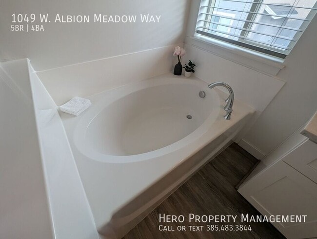 Building Photo - 1049 Albion Meadow Way