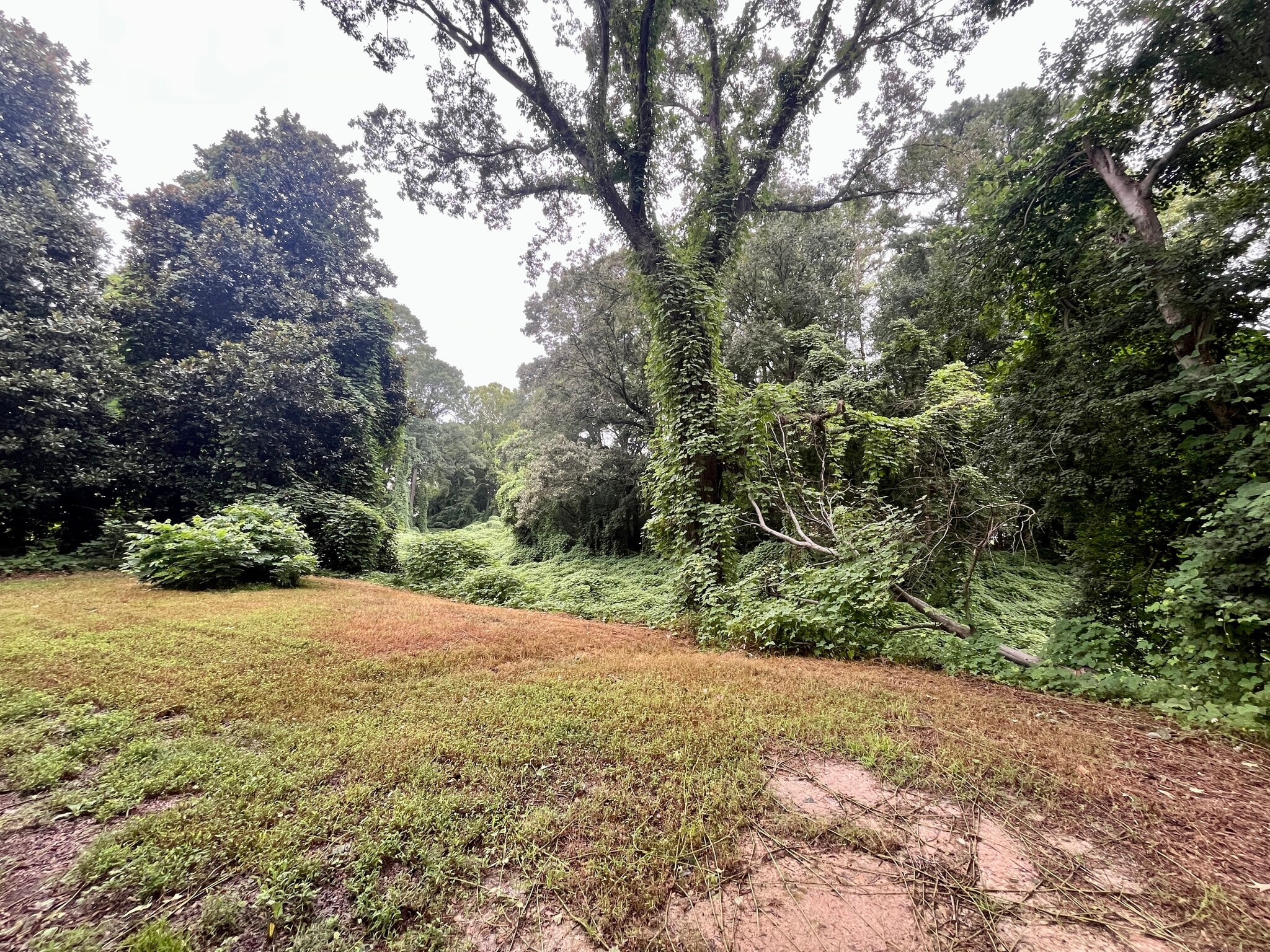 Building Photo - 2010 Simmons St