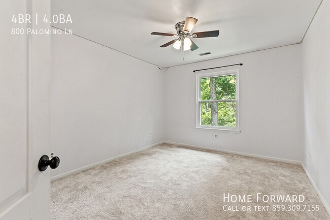 Building Photo - 800 Palomino Ln