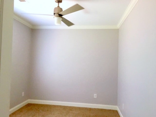 Building Photo - 5 Robert de Brus Cir