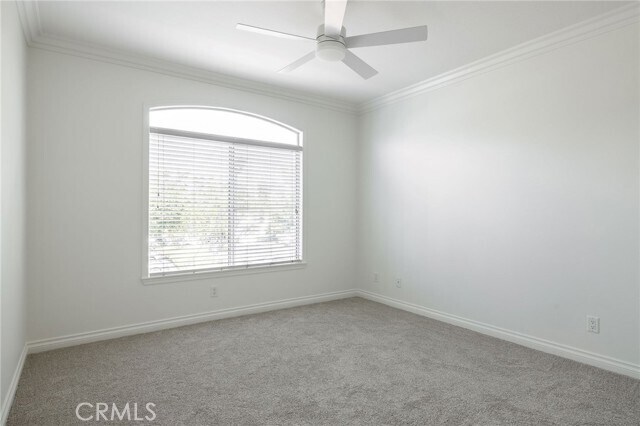 Building Photo - 12 Rabano