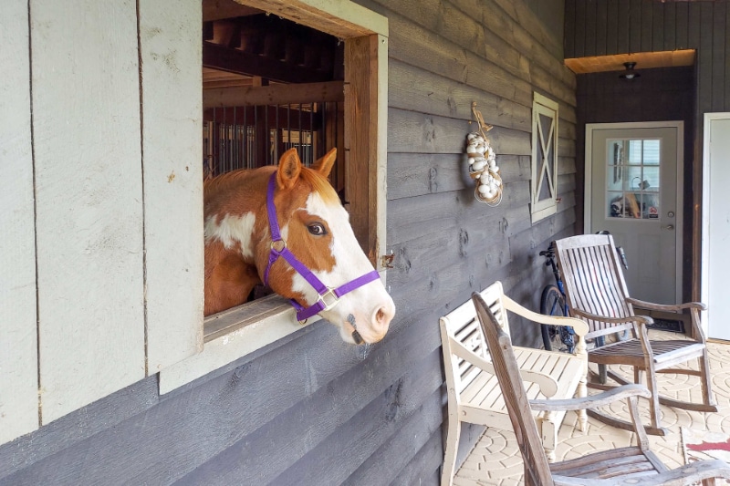 Building Photo - 23 Blackjack Rd