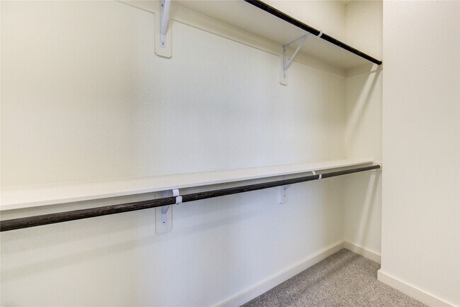 Building Photo - 2917 El Fenice Ln