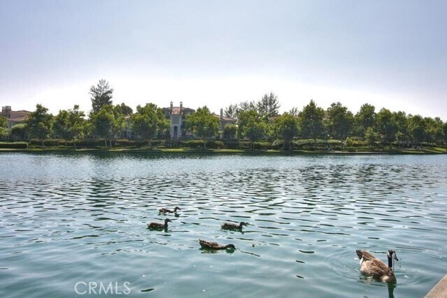 Building Photo - 205 Montana Del Lago Dr