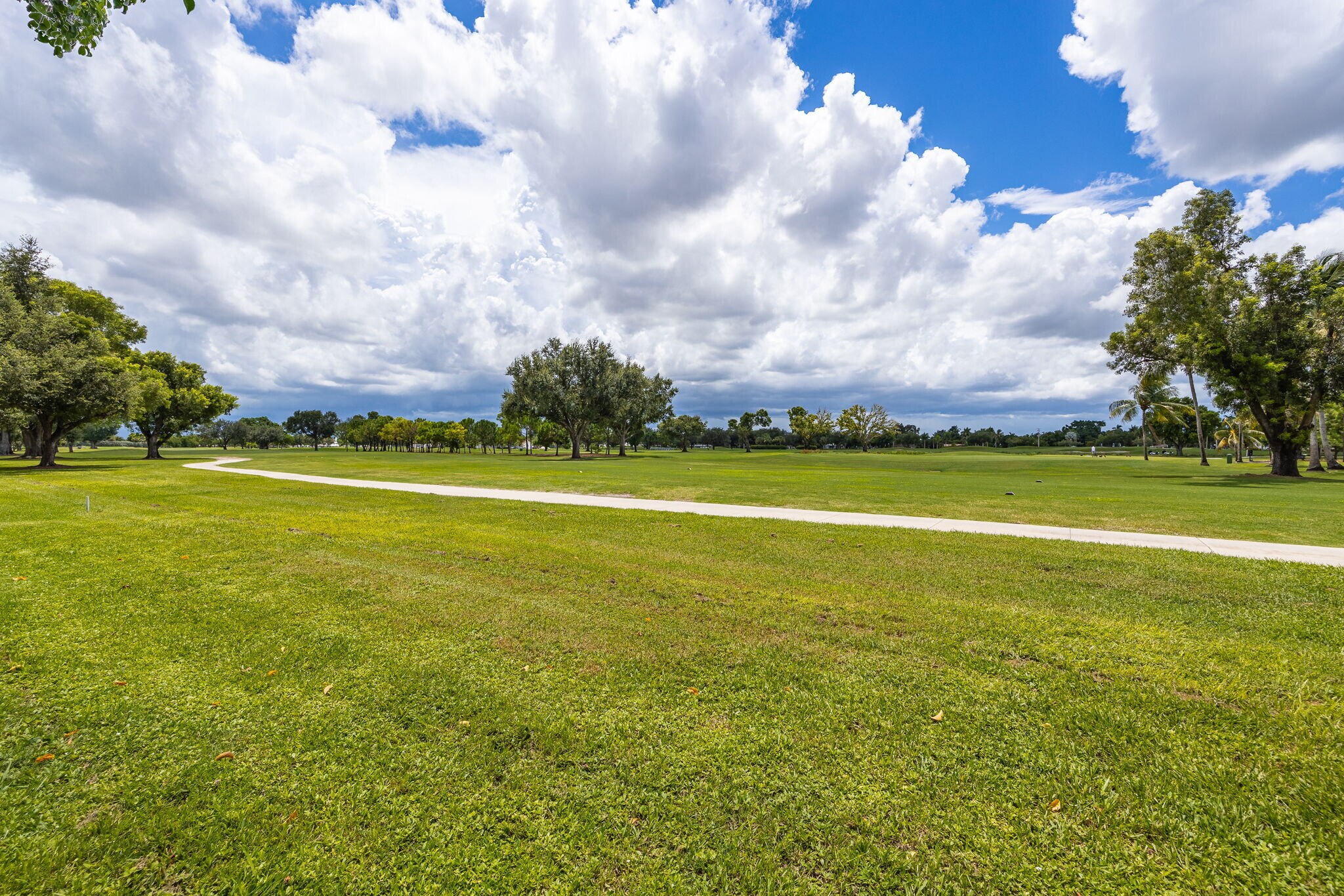 Building Photo - 1442 Olmeda Way