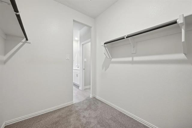 Building Photo - 521 Willet Dr