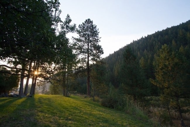 Morning Sunrise - 9491 Miller Creek Rd