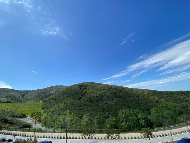 Building Photo - 3 bedroom 2.5 home with Canyon view in San Marcos!